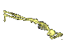 Kopie von skelett_0020